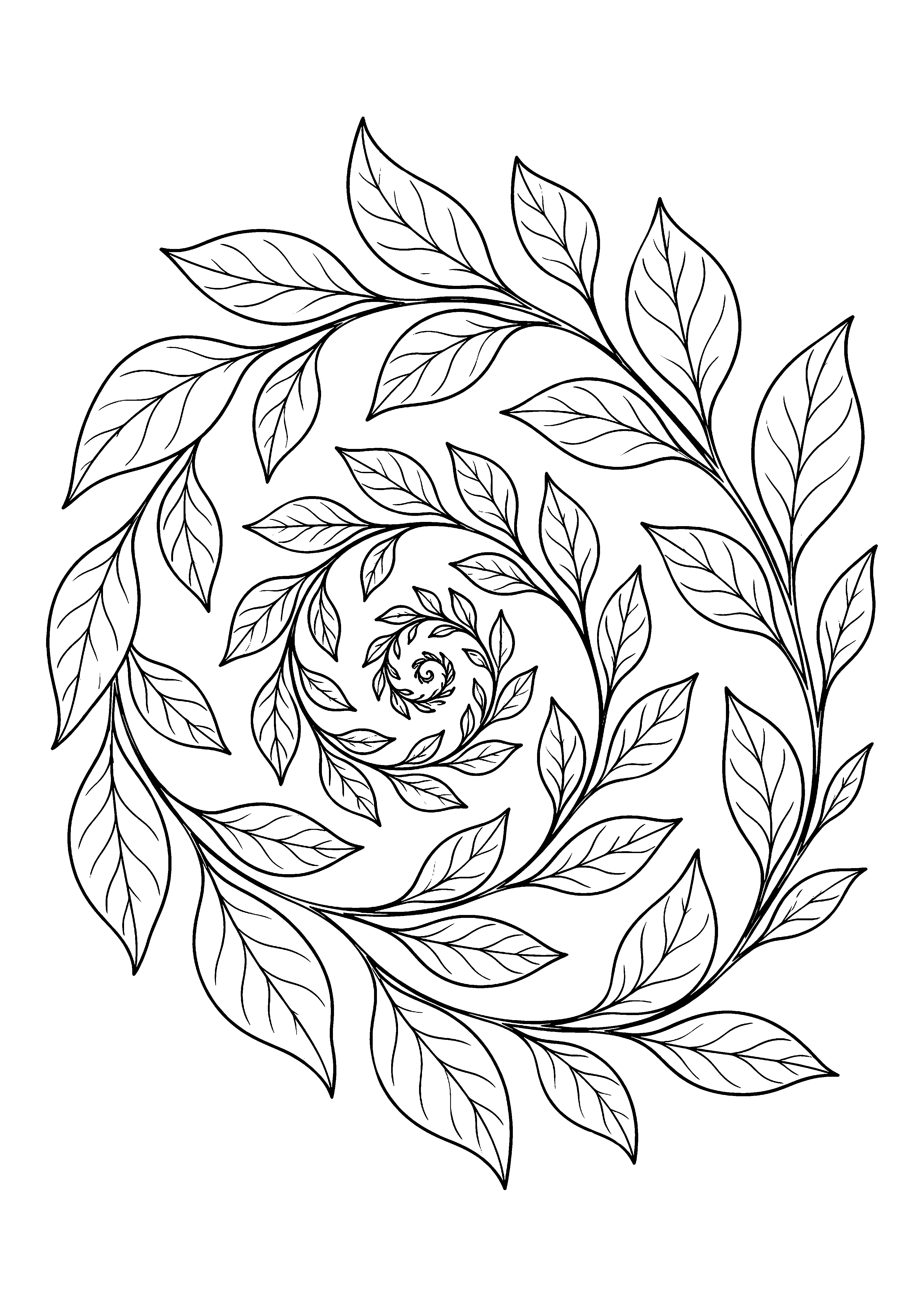 Gentle Leaf Spiral