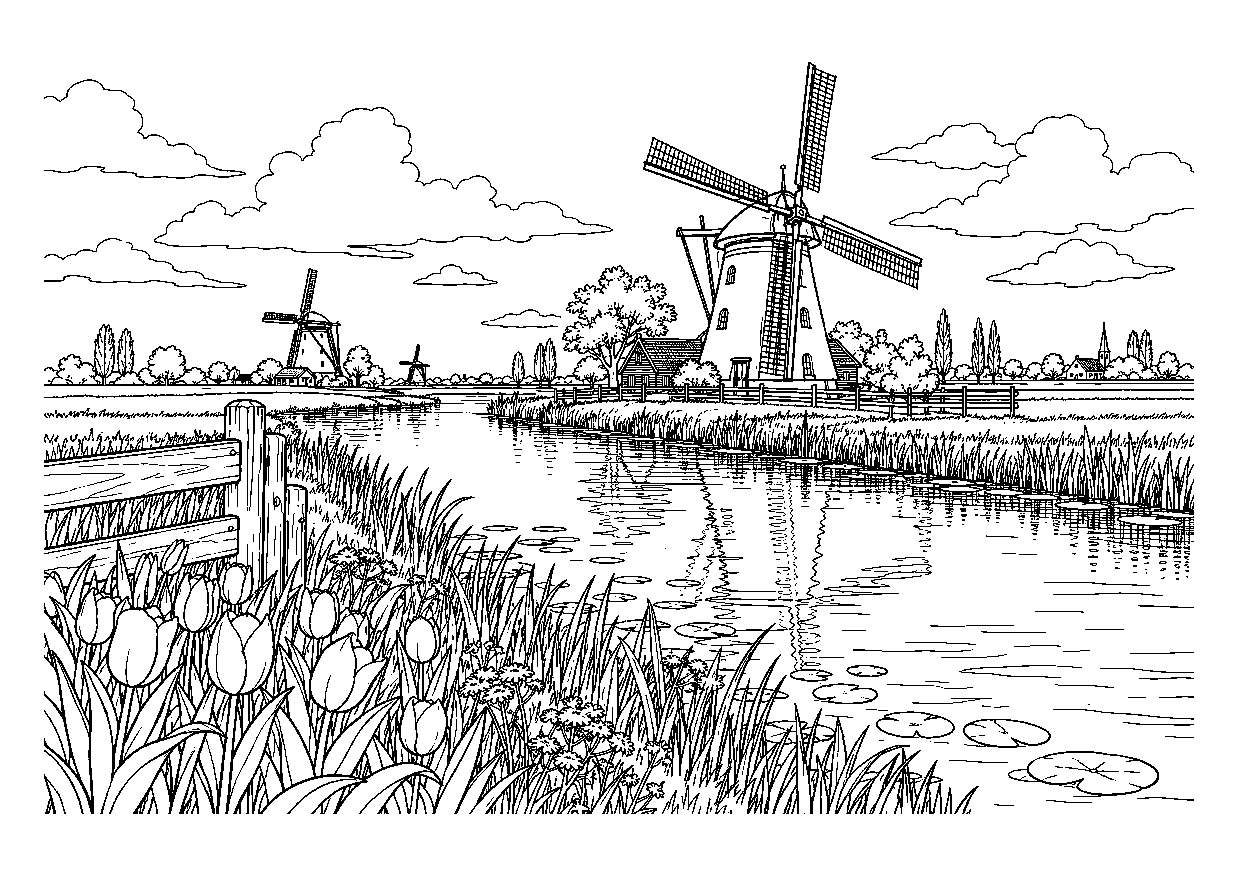Dutch Windmill Landscape