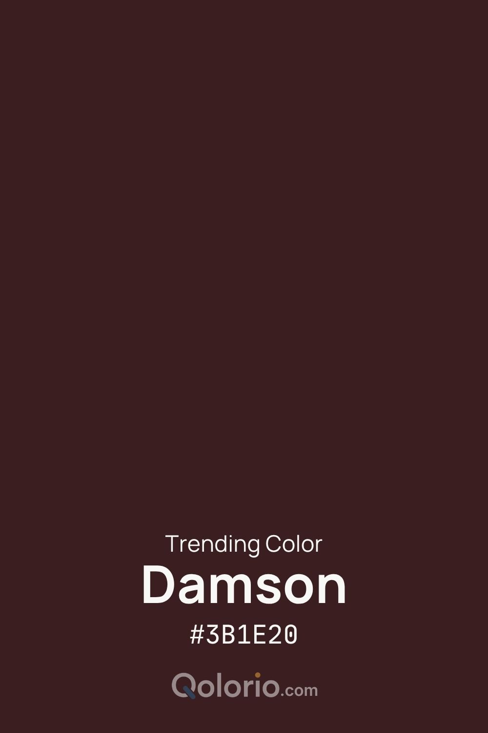 Damson #3B1E20, a deep wine-brown color with a warm, moody character.