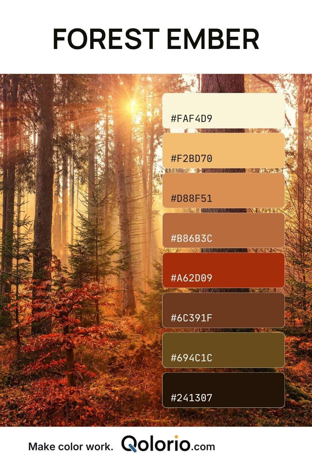 Forest Ember color palette with pale cream, golden amber, burnt orange, rust, earthy brown and deep forest-shadow tones inspired by autumn woodland light.