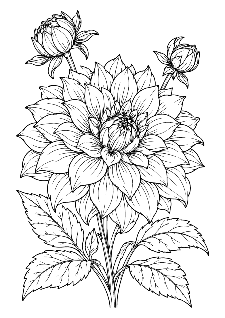 Black-and-white coloring page of a blooming dahlia with layered petals, textured leaves and unopened buds.