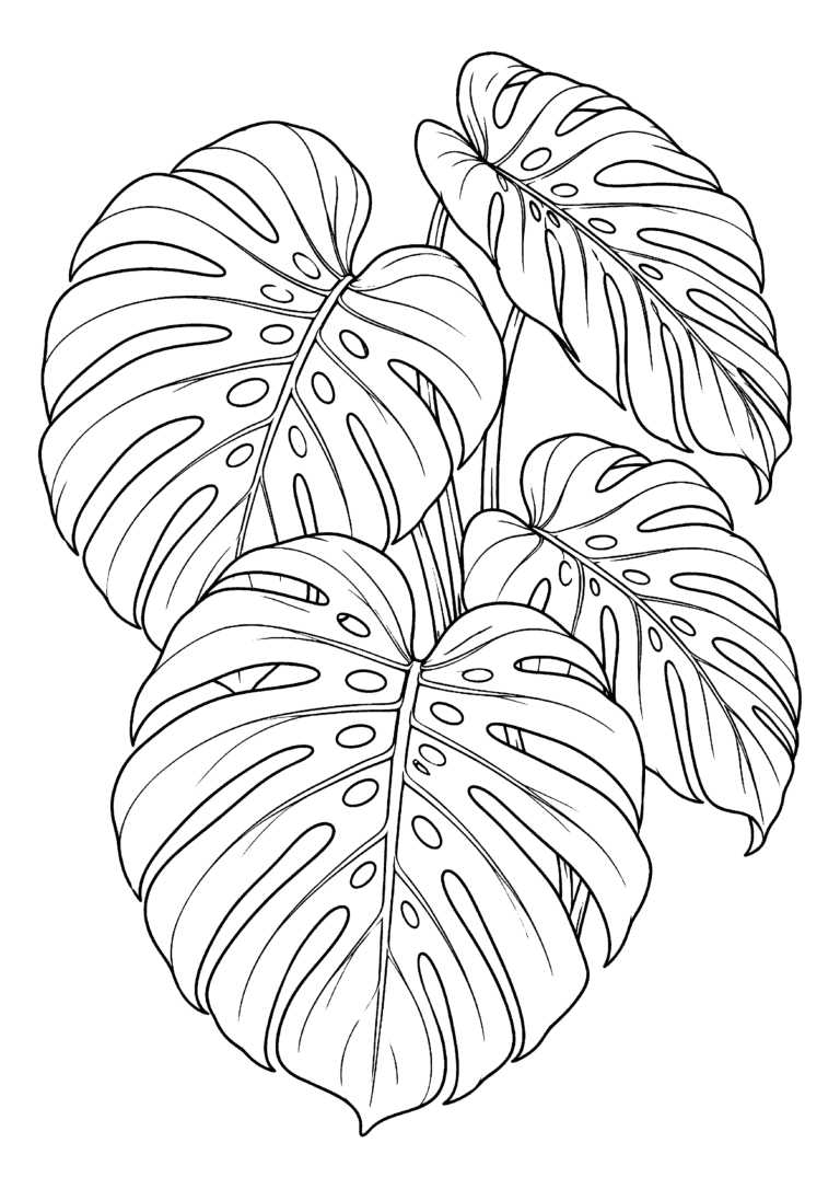 Black-and-white coloring page of overlapping monstera leaves with characteristic openings.