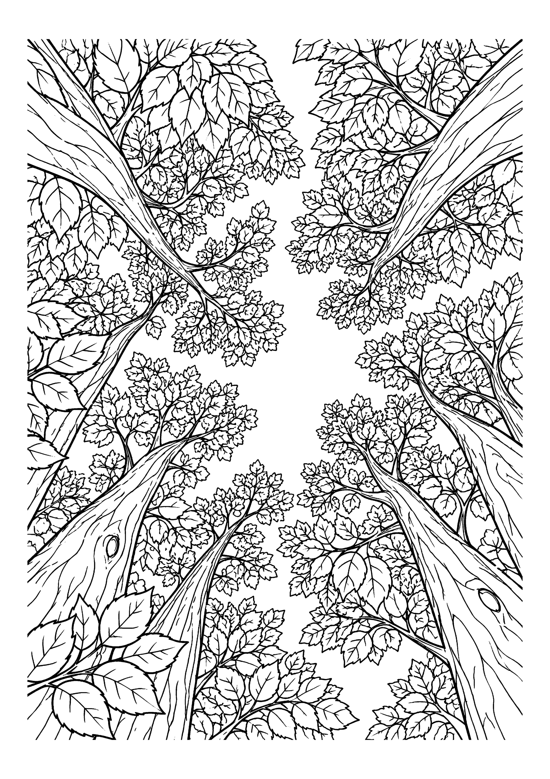 Black-and-white coloring page of a view upward through leafy tree canopies toward the open sky.
